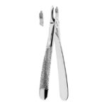 Extracting Forceps