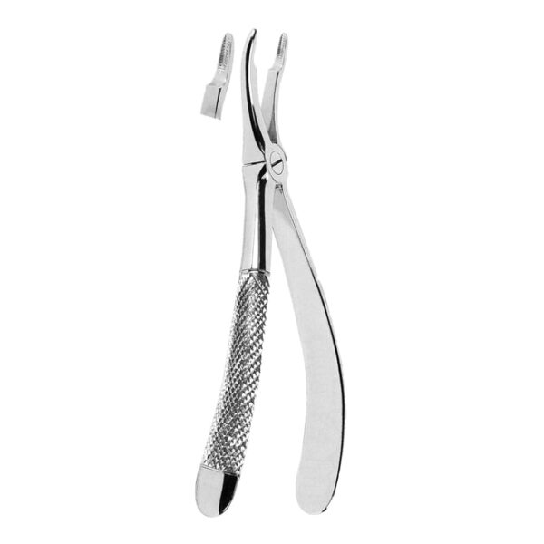 Extracting Forceps