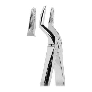 Extracting Forceps