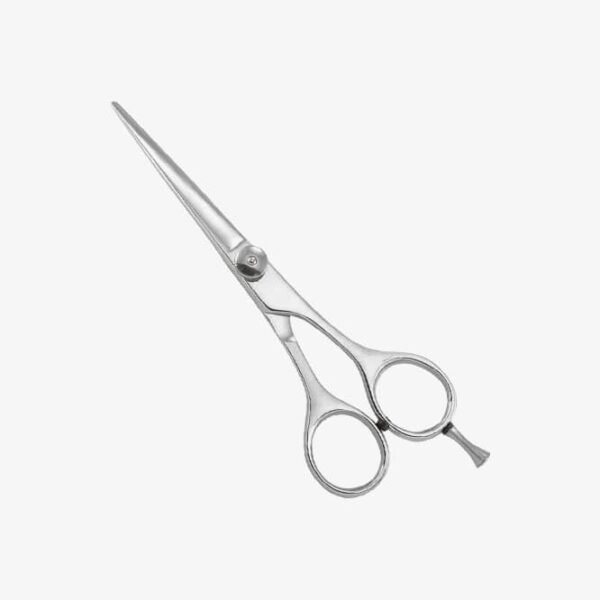 Professional Razor Edge Shears